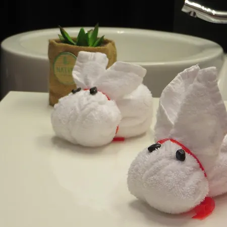 Arc My 4* 폰테 데 리마